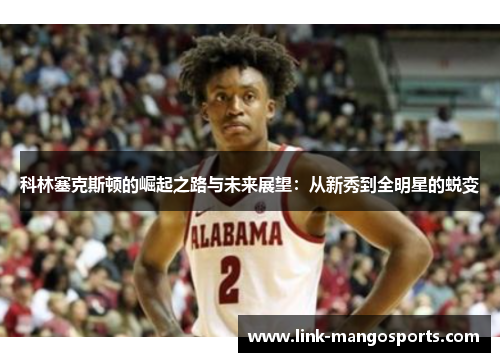 科林塞克斯顿的崛起之路与未来展望：从新秀到全明星的蜕变
